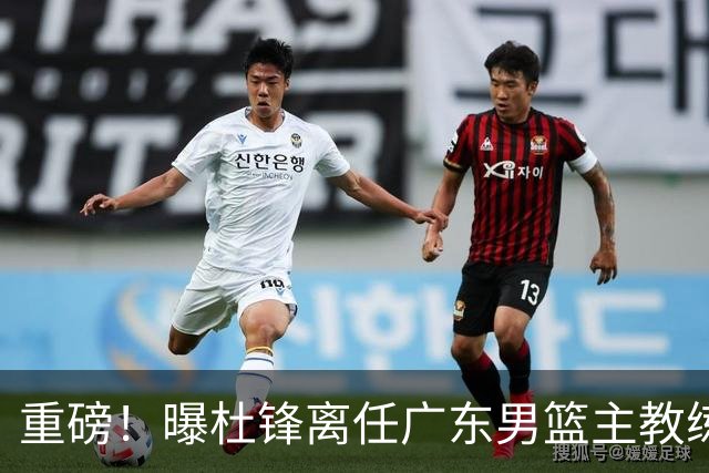 重磅！曝杜锋离任广东男篮主教练 媒体人猜测外教接任可能性较大